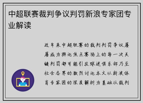 中超联赛裁判争议判罚新浪专家团专业解读